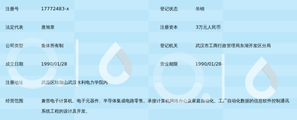 武汉赛斯特信息技术研究所